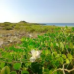 Dimora Le Spunnulate Appartamento *