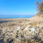 Dimora Le Spunnulate Appartamento Torre Lapillo