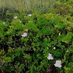 Dimora Le Spunnulate Appartamento