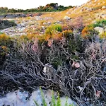 Dimora Le Spunnulate * Torre Lapillo