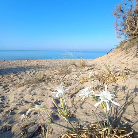 Dimora Le Spunnulate Appartamento Torre Lapillo